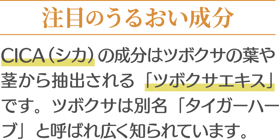 注目のうるおい成分 CICA （シカ）の成分はツボクサの葉や茎から抽出される「ツボクサエキス」です。ツボクサは別名「タイガーハーブ」と呼ばれ広く知られています。